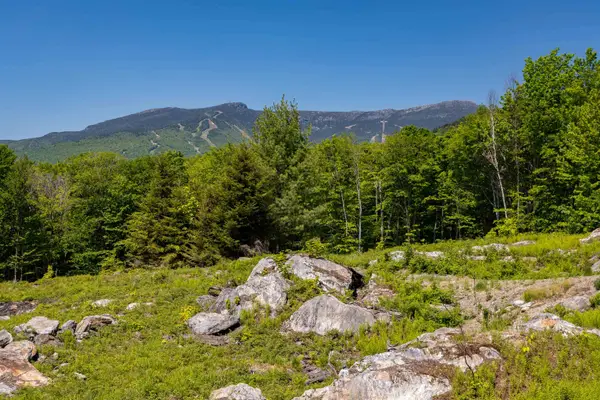0 Wade Pasture Road #89, Stowe, VT 05672
