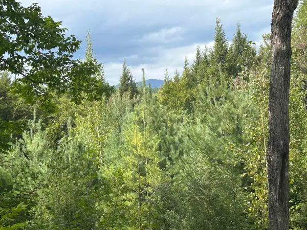 0 Stratton Gardens Road #10a, 10b,, Winhall, VT 05340