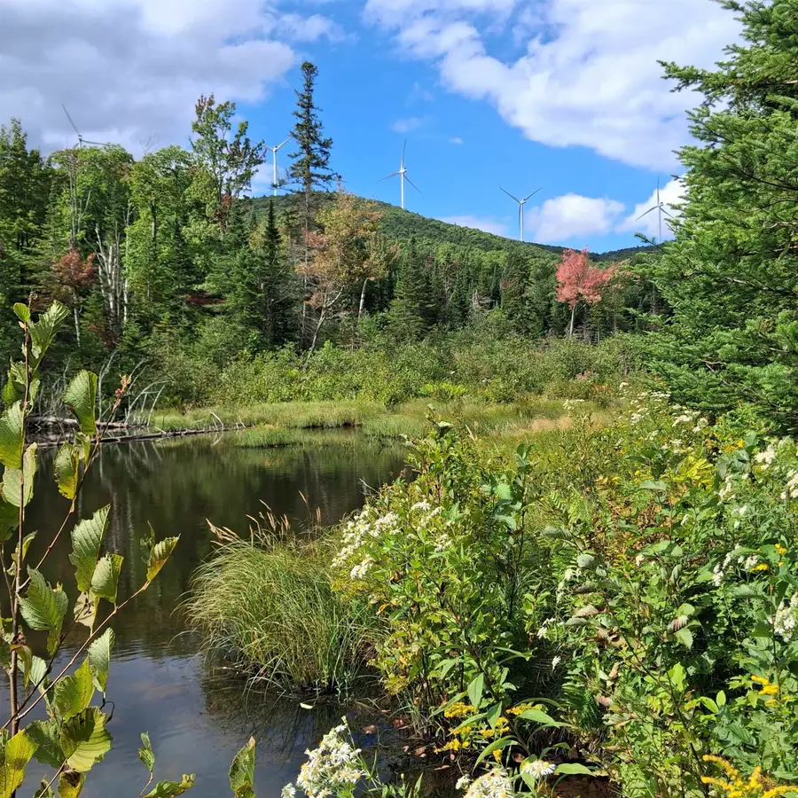 0000 Albany Road, Eden, VT 05653 - #2