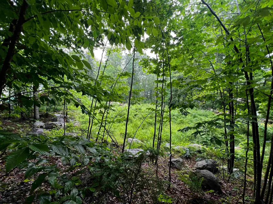 Jenness Hill Road #24, Meredith, NH 03253 - #2