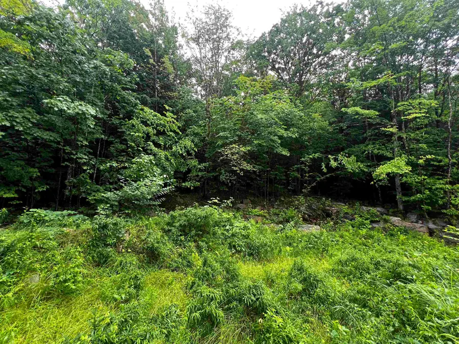 Jenness Hill Road #24, Meredith, NH 03253 - #3
