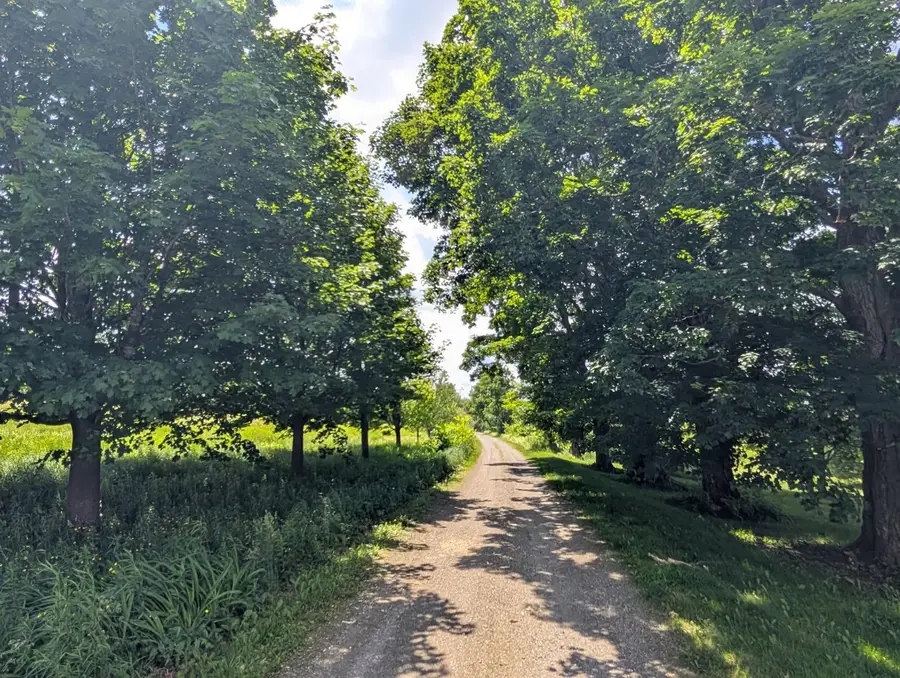 107 Bacon Road, Jay, VT 05859 - #3