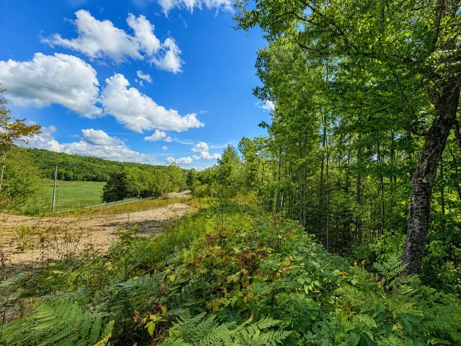 00 Burke Hollow Road #4, Burke, VT 05871 - #2