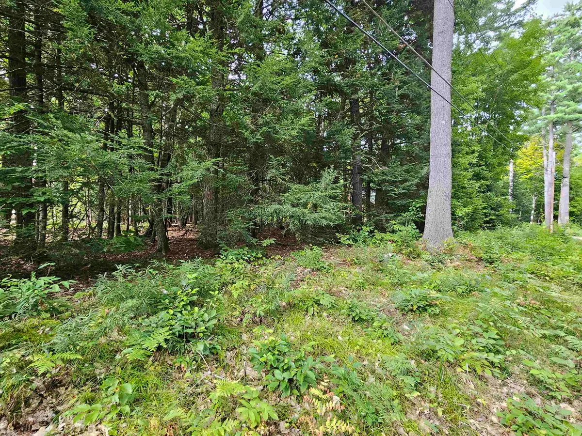 00 Valley Road, Haverhill, NH 03765 - #1