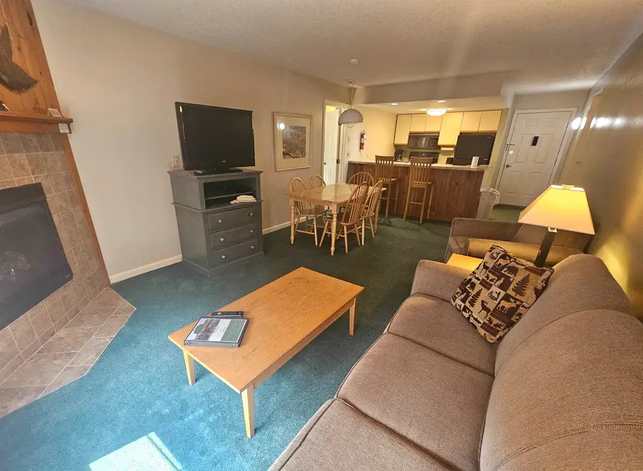 164 Deer Park Drive #166C, North Woodstock, NH 03262 - #2