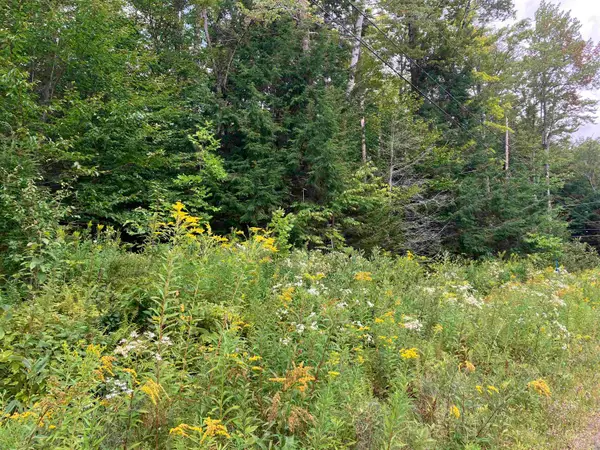 925 Porcupine Lane #M-925, Wilmington, VT 05363