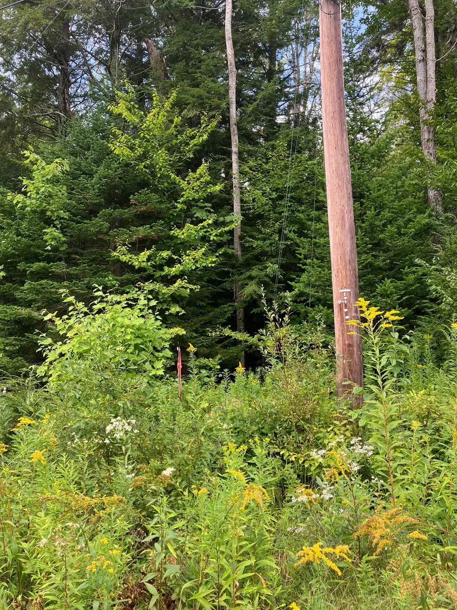 925 Porcupine Lane #M-925, Wilmington, VT 05363 - #2