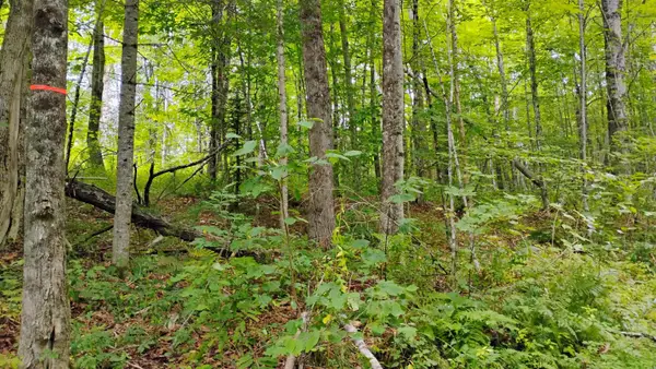xx Washburn Road, Orange, NH 03741