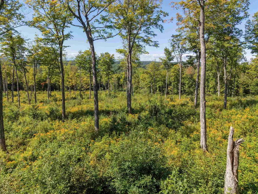 177 Cilley Hill Road #6, Jericho, VT 05465 - #2