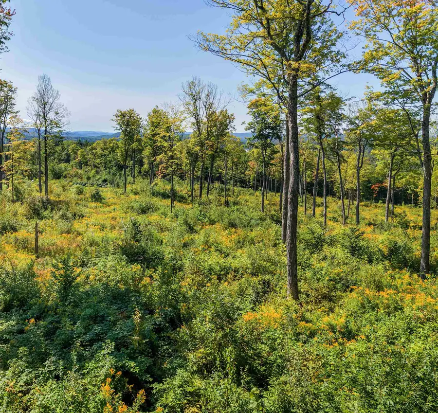 177 Cilley Hill Road #6, Jericho, VT 05465 - #3