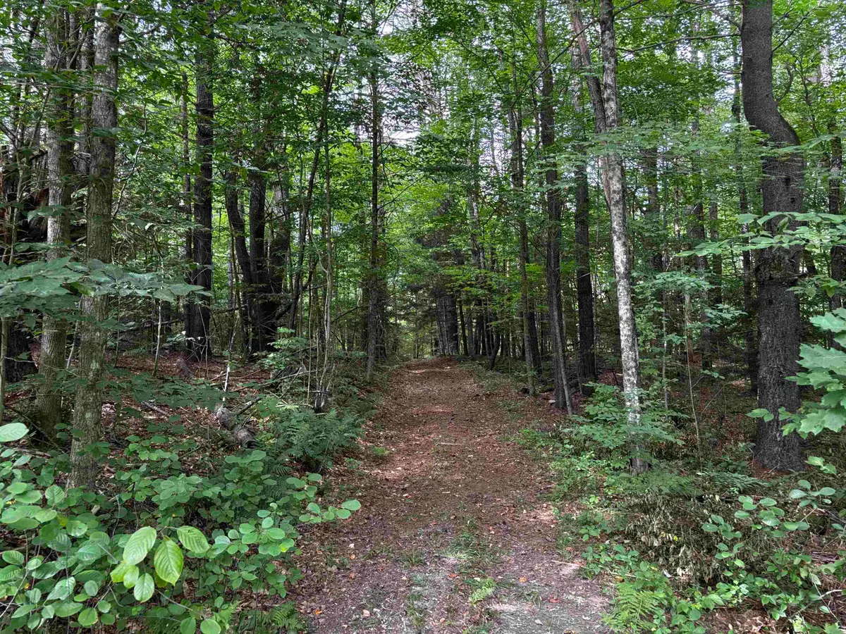 40 E Putney Brook Road #Big Pine Lot, Putney, VT 05346 - #1
