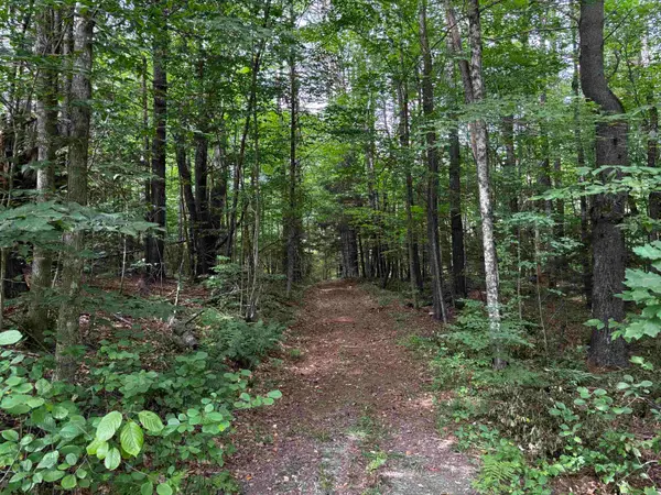40 E Putney Brook Road #Big Pine Lot, Putney, VT 05346