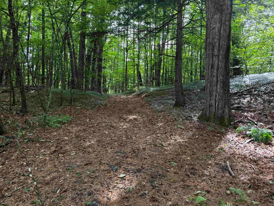 40 E Putney Brook Road #Big Pine Lot, Putney, VT 05346 - #2