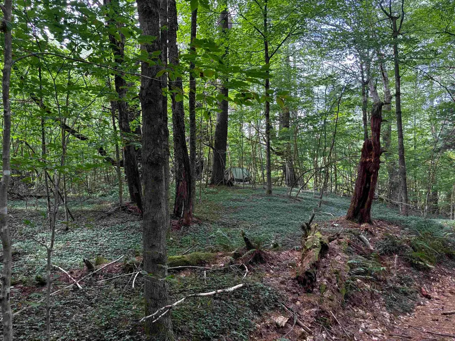 40 E Putney Brook Road #Big Pine Lot, Putney, VT 05346 - #3