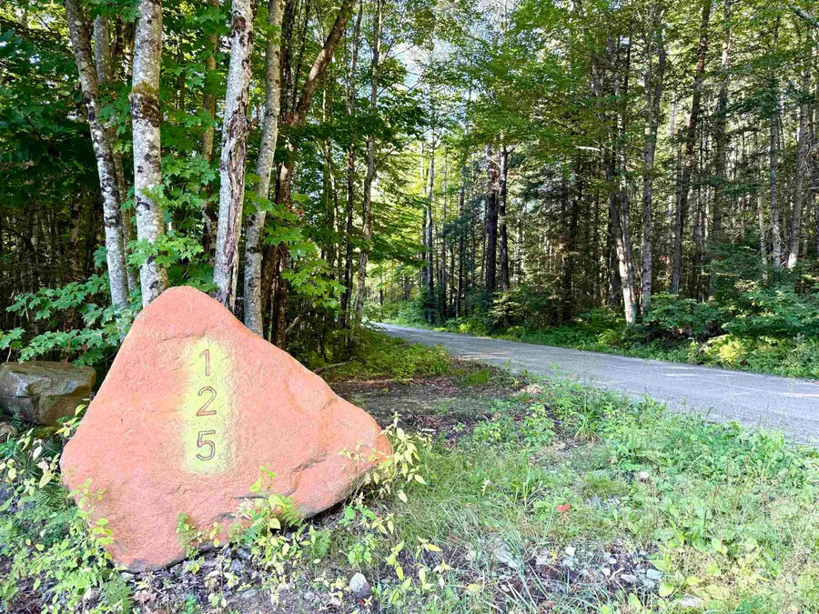 125 Dance Hall Road, Lunenburg, VT 05906 - #3