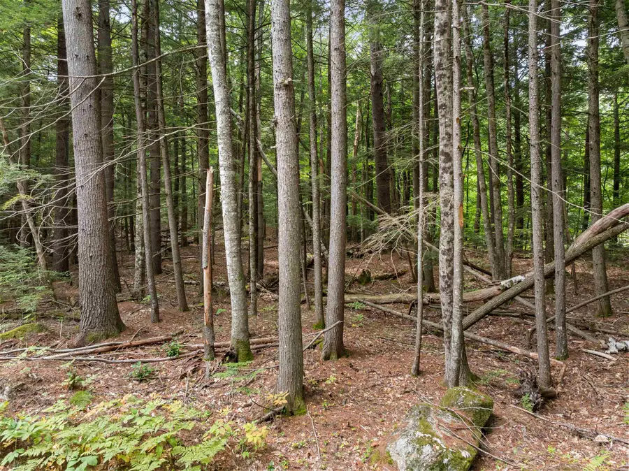 32 Forest Pond Road, New Hampton, NH 03256 - #3
