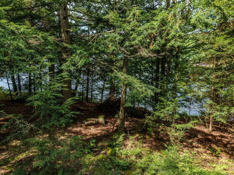 00 Hurd Hill Road #TM 216 / Lot 59-2, Lyman, NH 03585 - #3