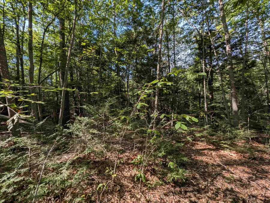Map 41 Lot 25 Jewett Road, Weare, NH 03281 - #3