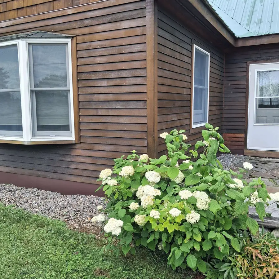 195 Beacon Hill Road, Morristown, VT 05661 - #3