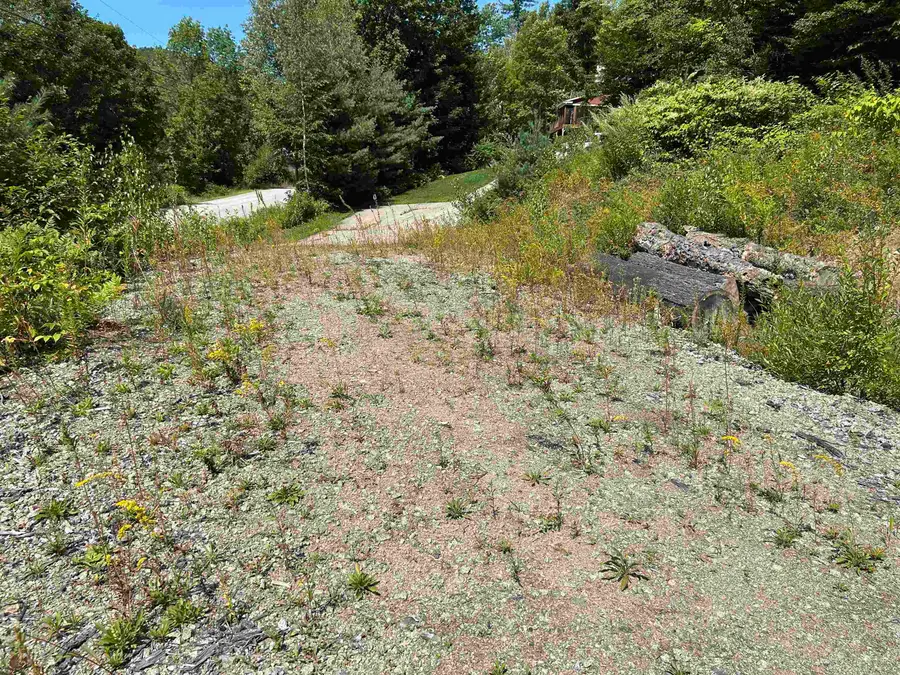 543 Thorn Hill Road, Intervale, NH 03845 - #3