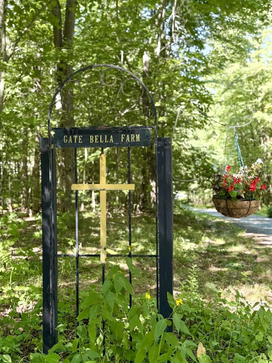 381 Toad Hill Road, Sugar Hill, NH 03586 - #3