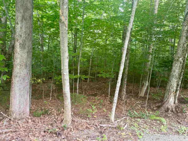 17 Nina Lane, Dover, VT 05356