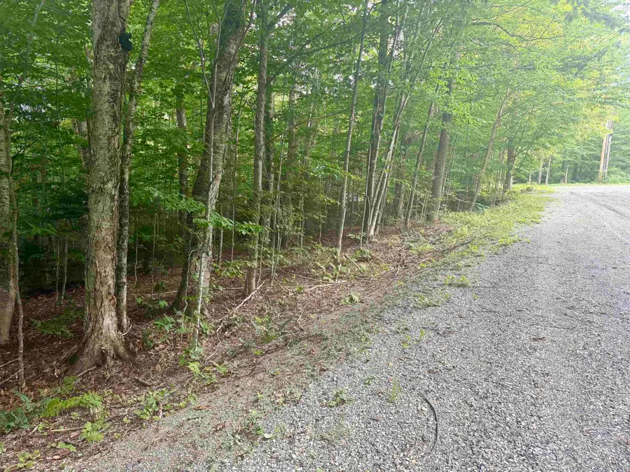17 Nina Lane, Dover, VT 05356 - #2