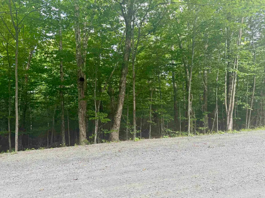 17 Nina Lane, Dover, VT 05356 - #3