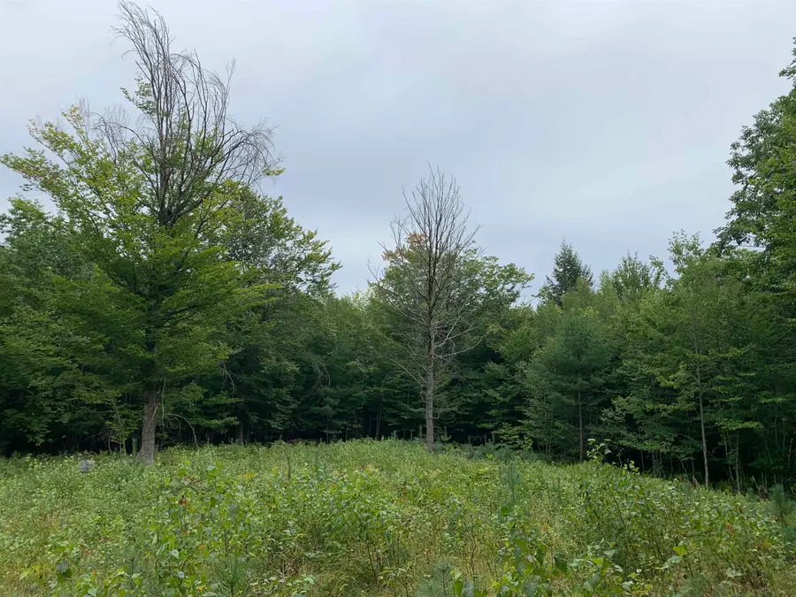 17 Skline Way, Madison, NH 03849 - #3