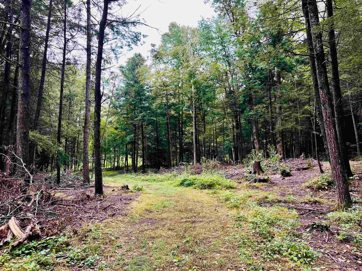 0 Marlboro Road #18B, Brattleboro, VT 05301 - #1