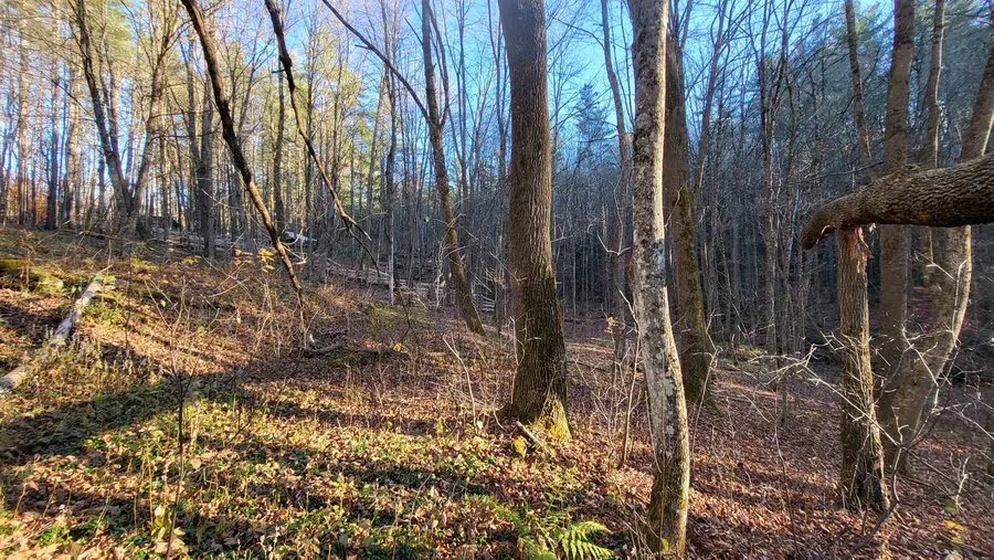 535 Collar Hill Road, Calais, VT 05648 - #2