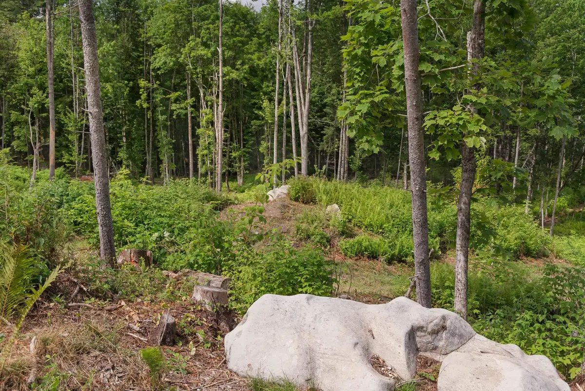 249 Weber Brook Lane, Craftsbury, VT 05826 - #1