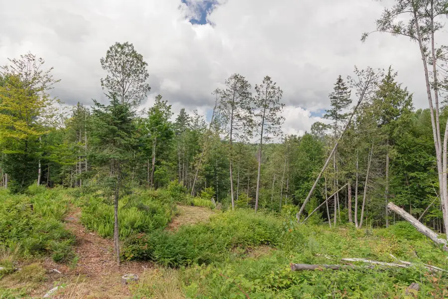 249 Weber Brook Lane, Craftsbury, VT 05826 - #2