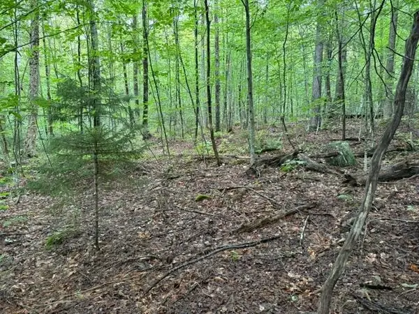 0 Under the Mountain Road, Londonderry, VT 05155