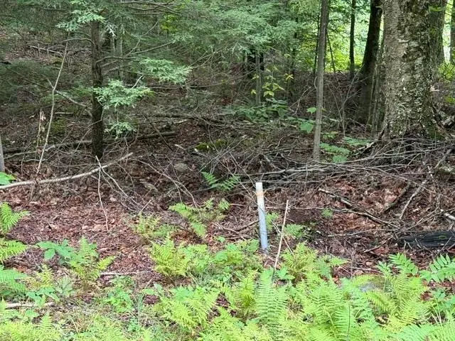 0 Under the Mountain Road, Londonderry, VT 05155 - #2