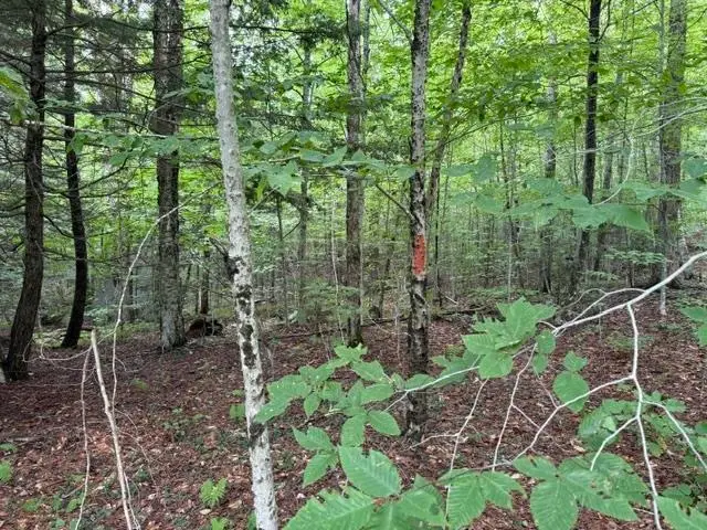 0 Under the Mountain Road, Londonderry, VT 05155 - #3