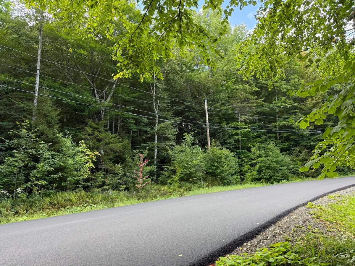 45 Buckboard Drive, Dover, VT 05356 - #1