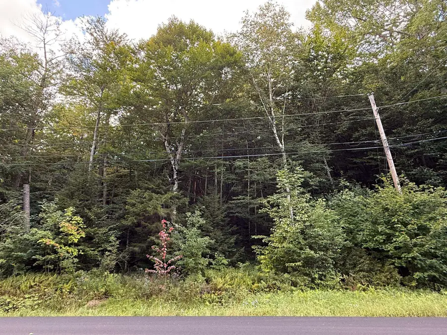 45 Buckboard Drive, Dover, VT 05356 - #2