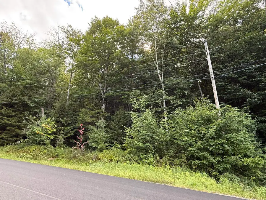 45 Buckboard Drive, Dover, VT 05356 - #3