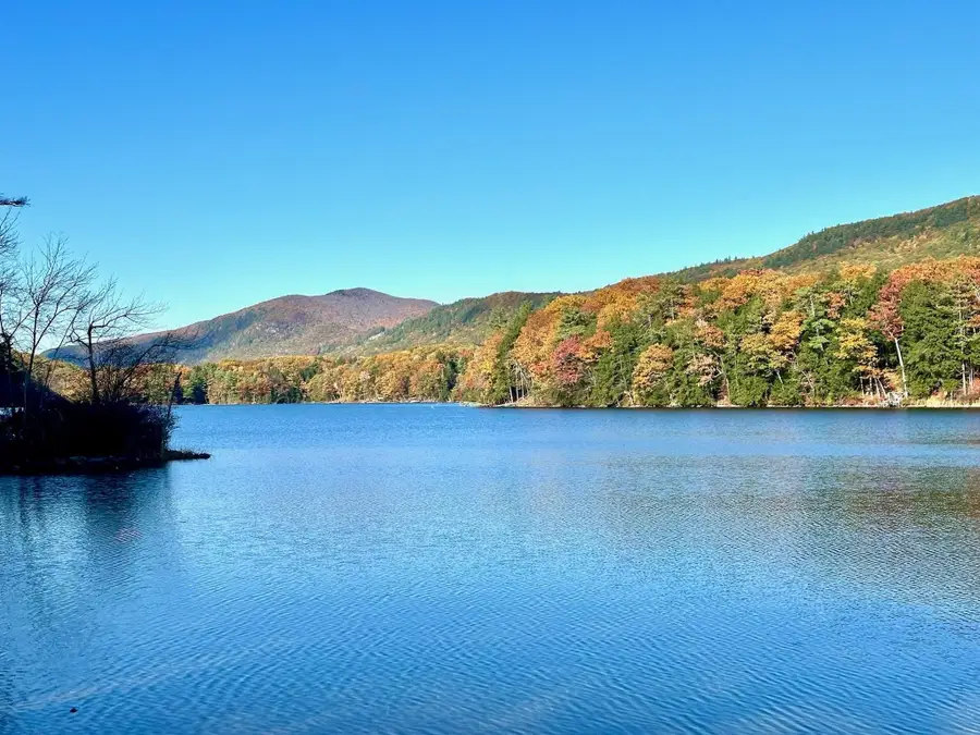 1455 Lake Dunmore Road, Leicester, VT 05733 - #2