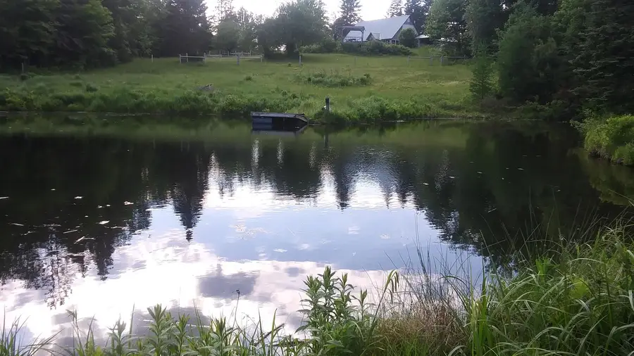 399 Dunbar Road, Sheffield, VT 05866 - #3