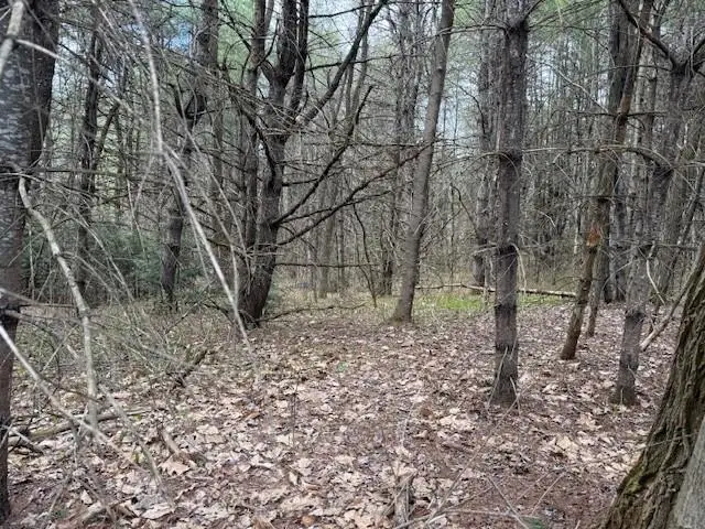 000 NH Rte 175, Holderness, NH 03245 - #3