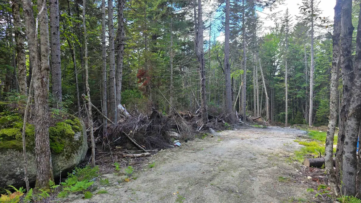 M10 L41 Taylor Circle, Washington, NH 03280 - #1