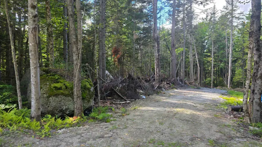 M10 L41 Taylor Circle, Washington, NH 03280 - #2
