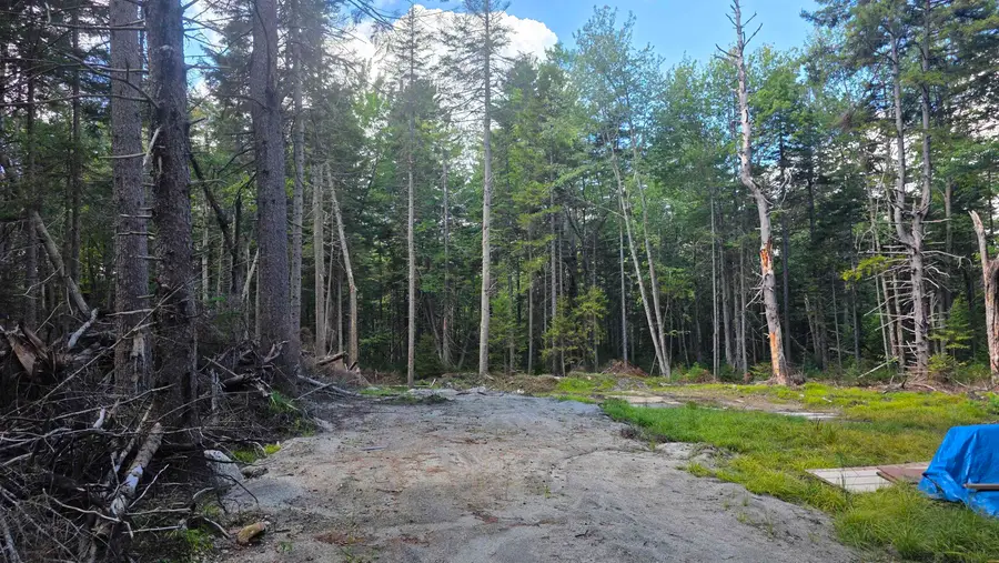 M10 L41 Taylor Circle, Washington, NH 03280 - #3
