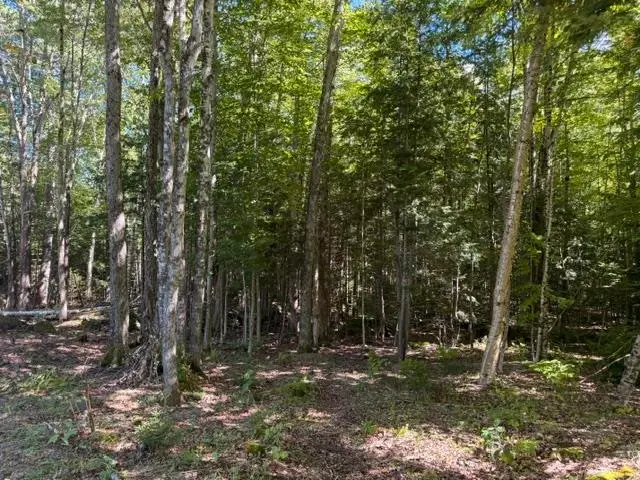 Lot 5 Partridge Road, Jackson, NH 03846 - #1
