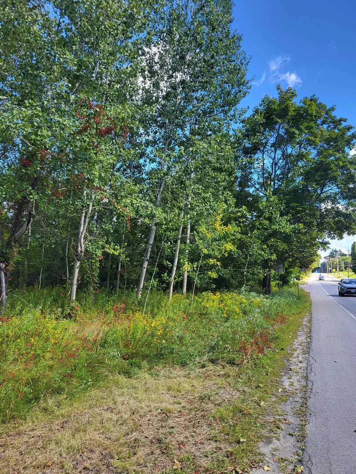 0 Main Street #TM 206/Parcels 20 & 21, Bethlehem, NH 03574 - #1