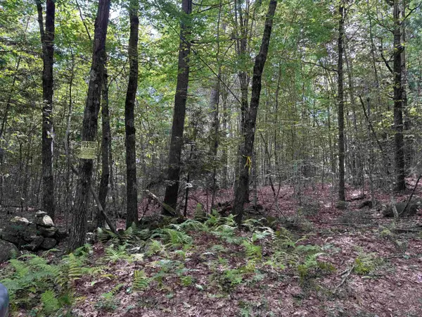 0 Old Pierce Road #Map 2 Lot 3, Fitzwilliam, NH 03447