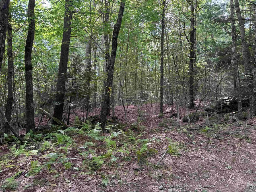 0 Old Pierce Road #Map 2 Lot 3, Fitzwilliam, NH 03447 - #3