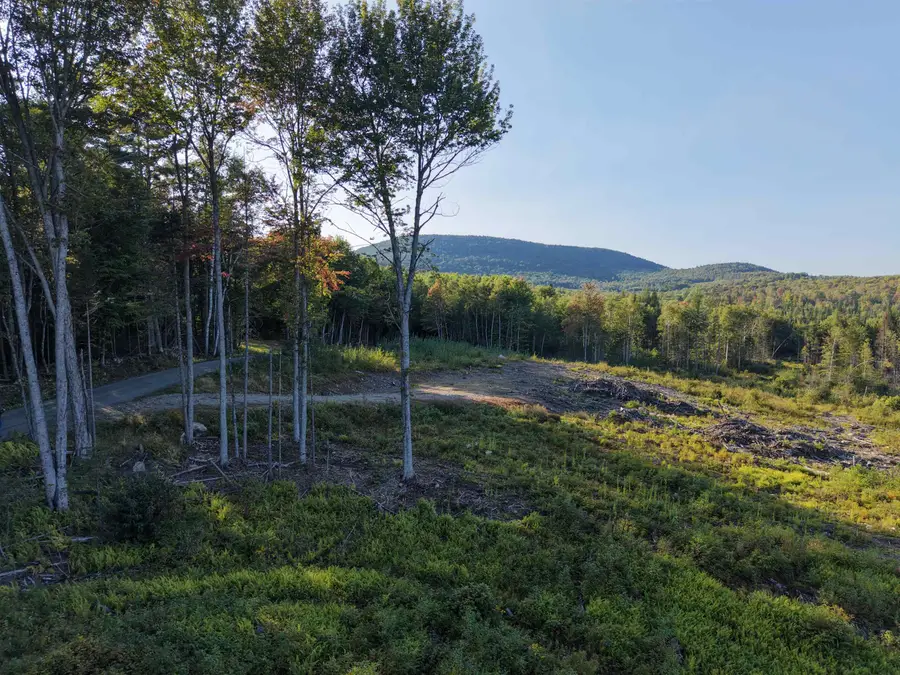 1010 Fellows Road, Guildhall, VT 05905 - #2